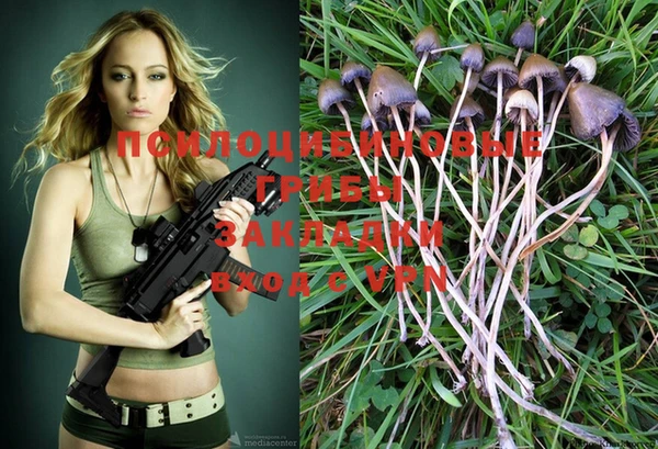 PSILOCYBIN Бронницы