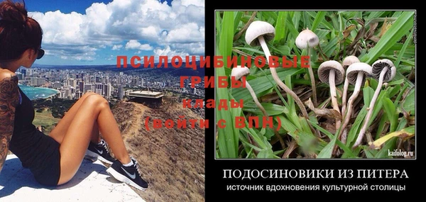 соль курить ск Бугульма