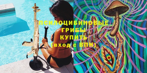 spice Богородицк
