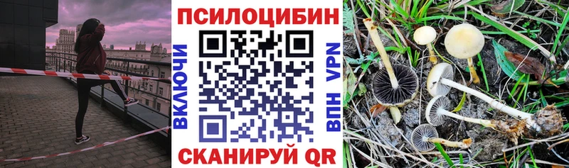 Галлюциногенные грибы Magic Shrooms  Инсар 